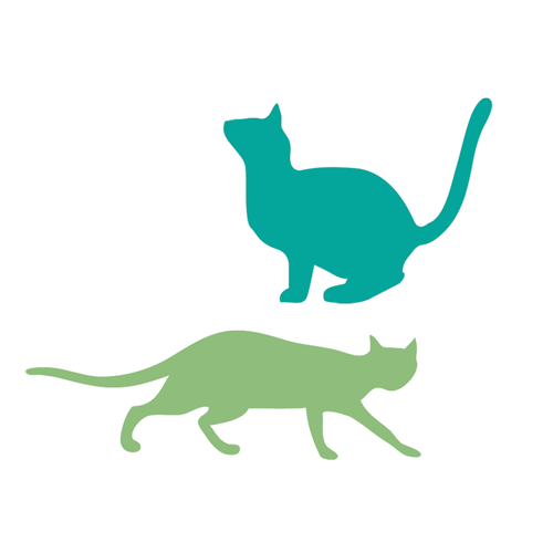 Cats Jumping and Stalking Wall Stickers